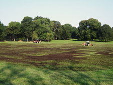 photo: Prospect Park