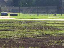 photo: Prospect Park