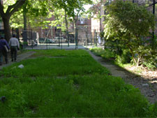 photo: P.S. 20 John Bowne