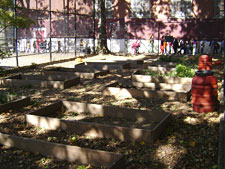 photo: P.S. 20 John Bowne