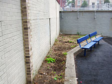 photo: PS/MS 29 The Melrose School
