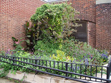photo: Red Hook Park, Sol Goldman Recreation Center & Pool