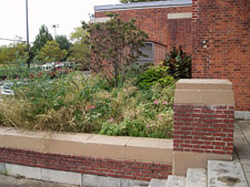 photo: Red Hook Park, Sol Goldman Recreation Center & Pool