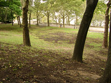 photo: Riverside Park