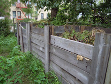 photo: Roberto Clemente Community Garden
