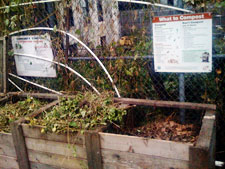 photo: Rodale Pleasant Park Community Garden