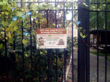 photo: Rodale Pleasant Park Community Garden