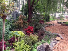 photo: Sherman Avenue Community Garden