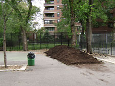 photo: Seward Park