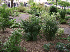 photo: Seward Park