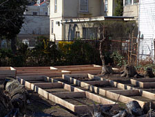 photo: Flatbush CommUNITY Garden