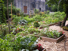 photo: Flatbush CommUNITY Garden