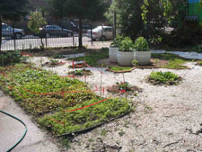 photo: Slow Food Urban Harvest Garden
