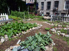 photo: Slow Food Urban Harvest Garden