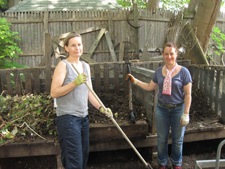 photo: St. Marks Prospect Heights Community Garden
