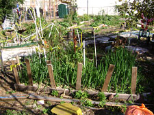photo: St. Marks Garden