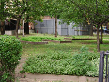 photo: NYCHA, Saint Nicholas Community Center
