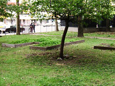 photo: NYCHA, Saint Nicholas Community Center