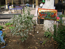 photo: NYCHA, Nathan Strauss Houses