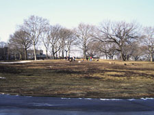 photo: Sunset Park