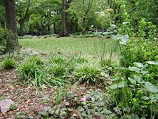 photo: Tompkins Square Park & Sandra Turner Garden