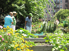 photo: Tremont Community Garden