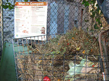 photo: Tremont Community Garden