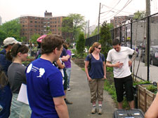 photo: Two Coves Community Garden