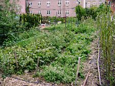 photo: United Community Centers