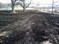 photo: Wards Island