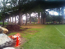 photo: Wards Island