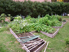 photo: Weeksville Heritage Center