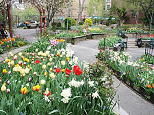 photo: West Side Garden