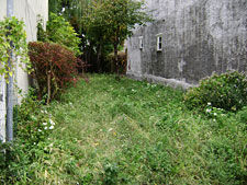 photo: Warwick Street Greenery Glow Garden