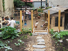 photo: Bushwick City Farm