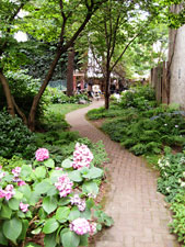 photo: David Foulke Memorial Garden