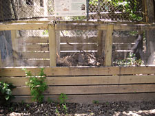 photo: Eldert Street Garden