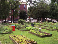 photo: Joe Holzka Garden