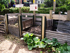 photo: Warren/St Marks Community Garden