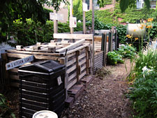 photo: Warren/St Marks Community Garden