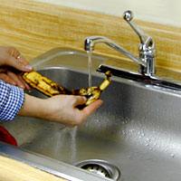 photo: Wash, Freeze, Microwave or Chop-Up Food Scraps
