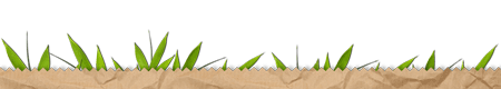 grass in paper bag