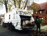 DSNY fall leaf collection