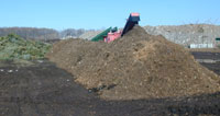 Christmas tree operations at the Fresh Kills composting facility
