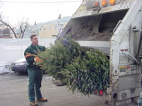 DSNY Christmas tree collection