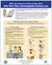 click to open pdf