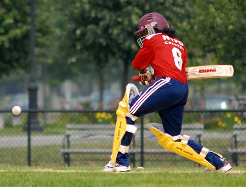 NYPD 2008 PC's Cricket League