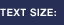 Set Text Size