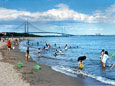 Photo of the beach