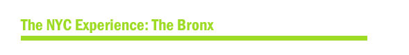 The Bronx